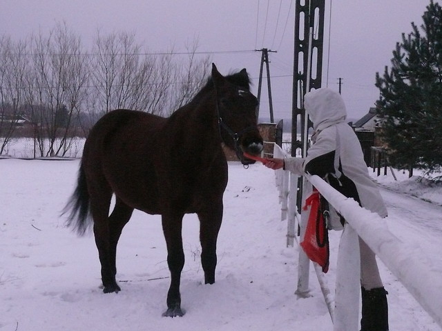 Godomor