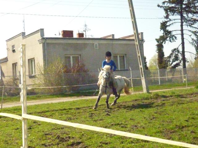 Galop