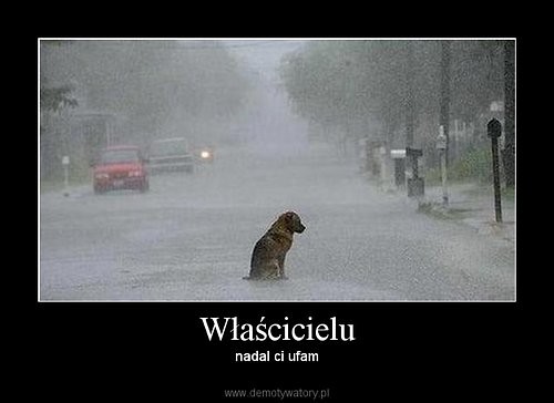 Wpis cheapcharade
