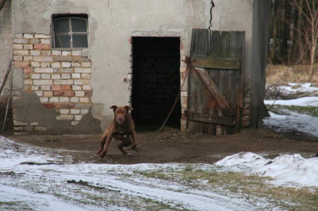 Wpis kocimozg