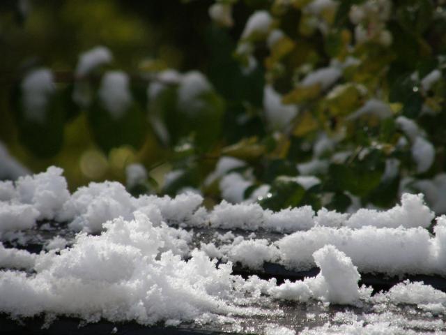 snow