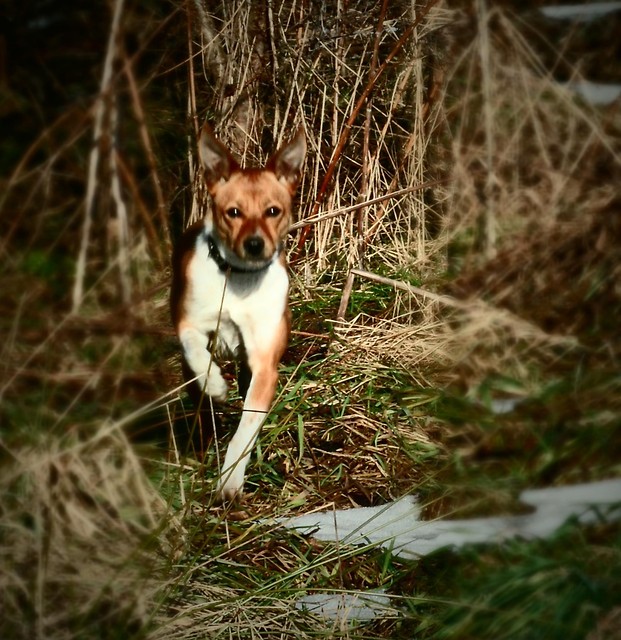 roxanka :]