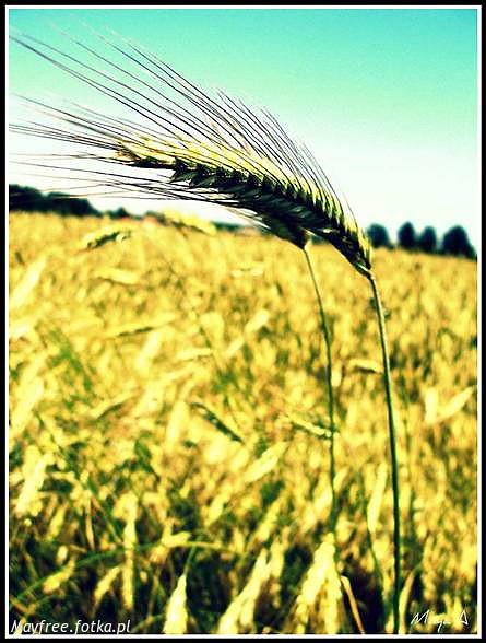 Kiedy byo milczenie. 