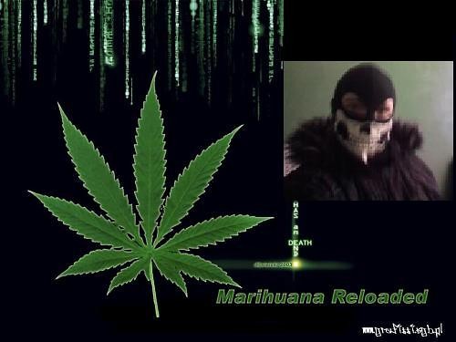 Ganja