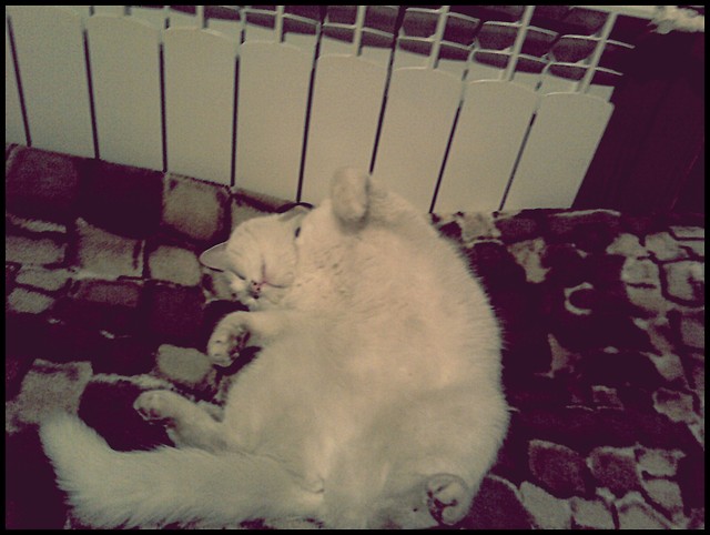 Wpis gosza92