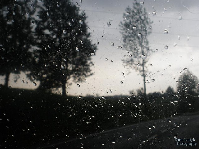 mazury ; d