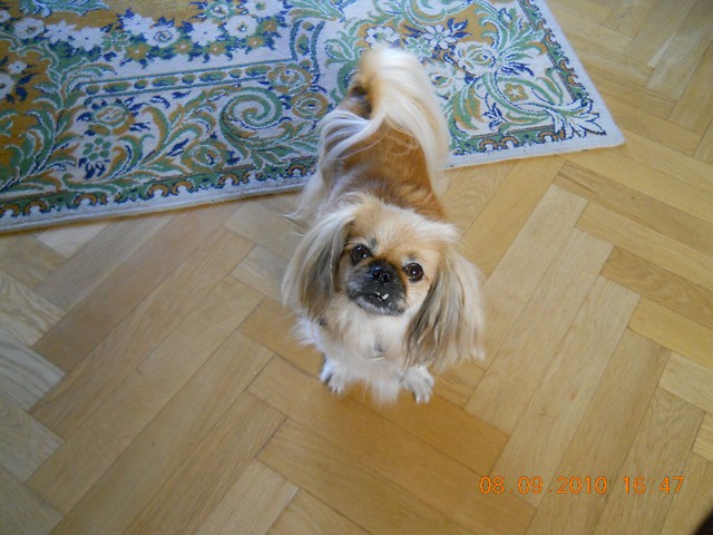 Berta