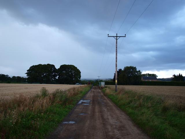 on a field