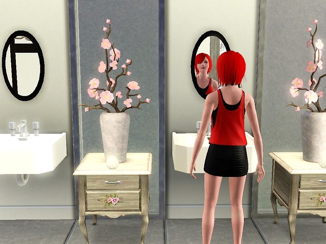Wpis simsola