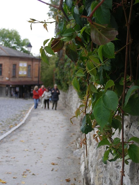 30.09.2010 r.