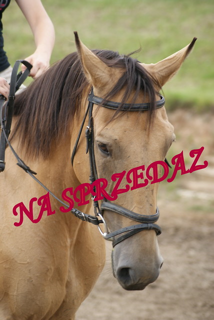 Wpis fantazja321