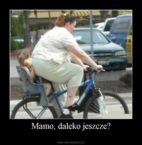 Wpis basiczeq