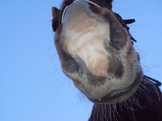 ;p