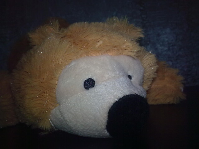 misiO xdd . ! 