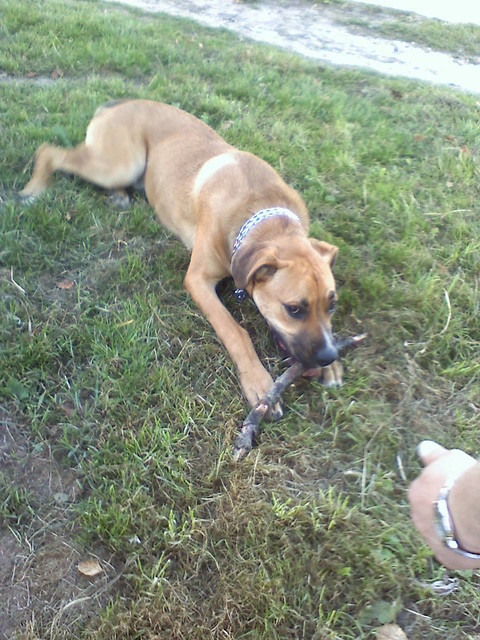 Wpis malinowaaona