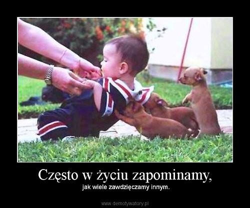 Wpis narkomanxd