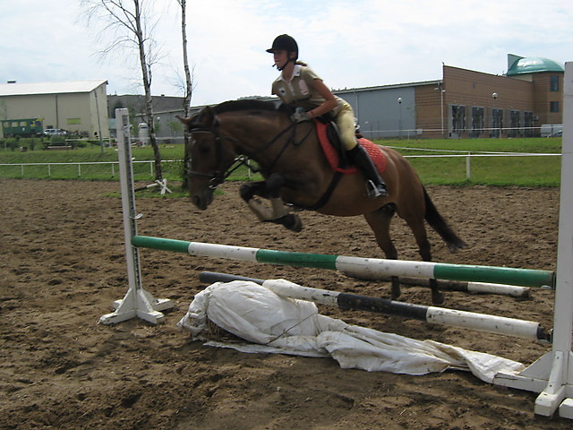 Wpis blackhorse93