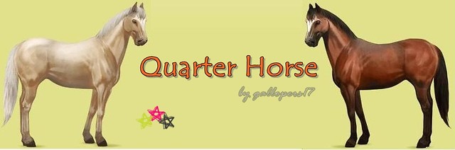 Quartery by gallopers