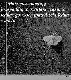 ycie . . . . 