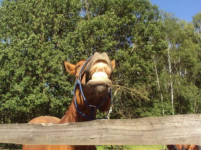;p