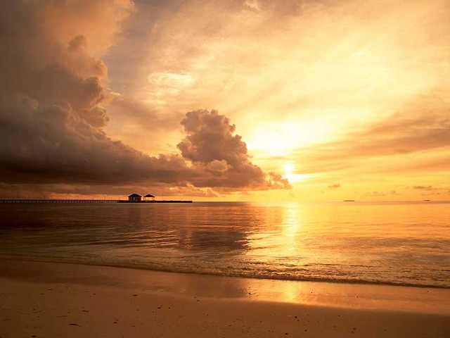sunset. 
