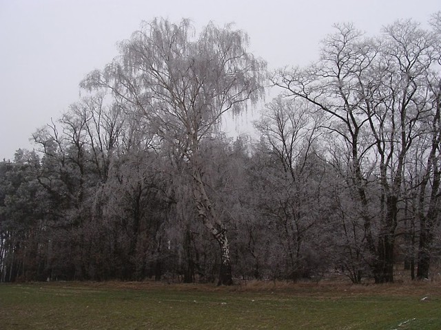 Narnia