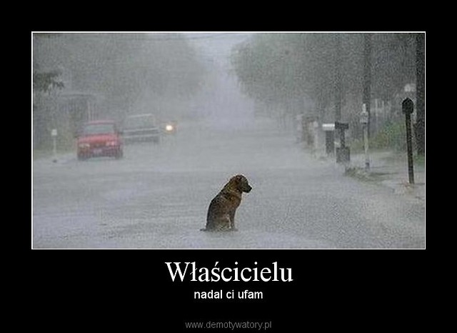 Ludzie s okrutni... ;(