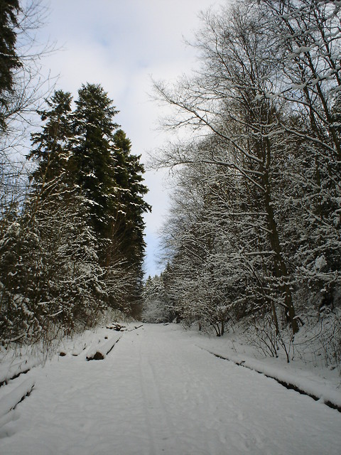 Widoki