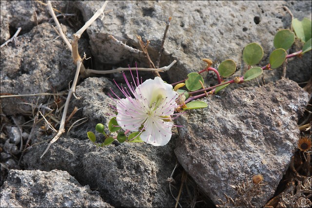 Second memory from grece :)