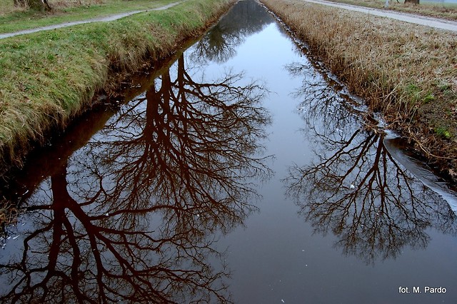 Perspektywa