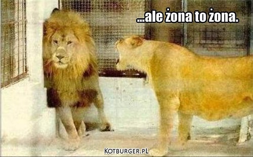 xD