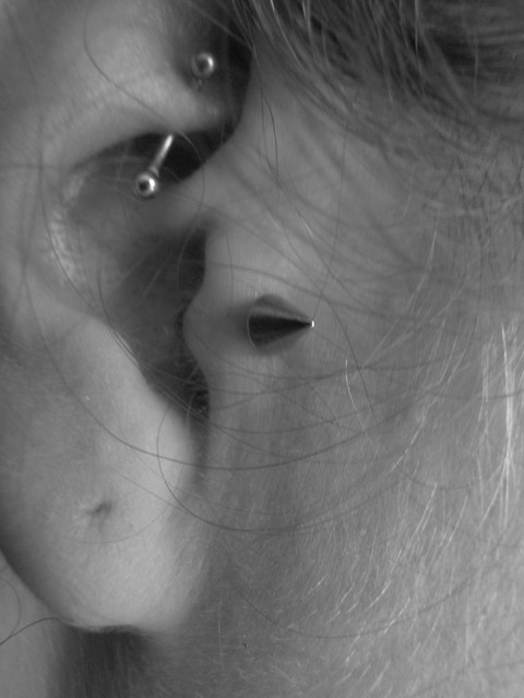 tragus