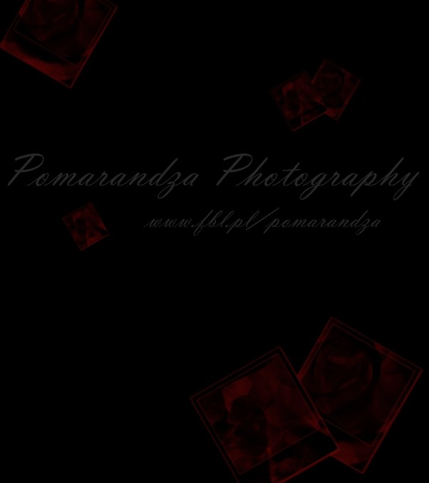 Wpis pomarandza