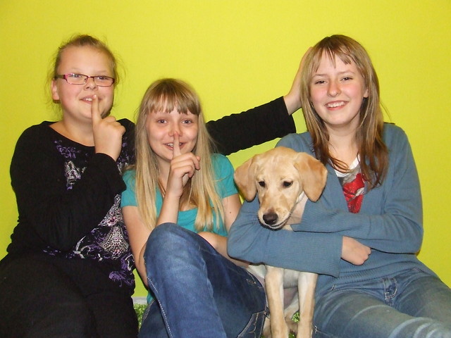 Wpis gurkeland