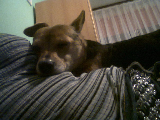 Noorci;D