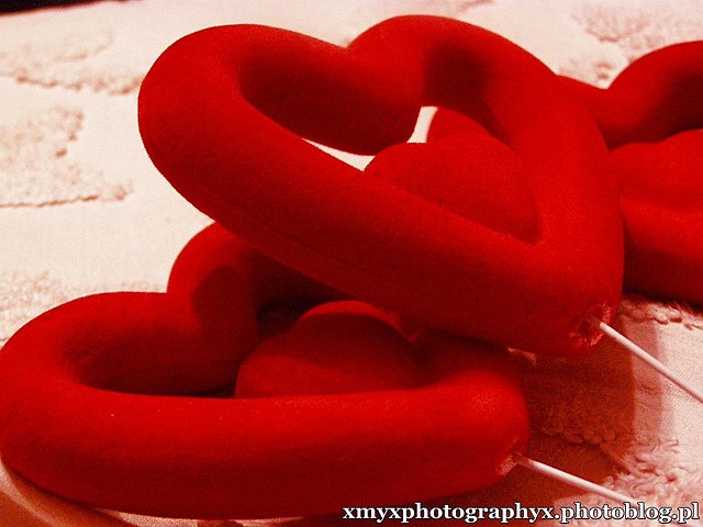 Wpis xmyxphotographyx