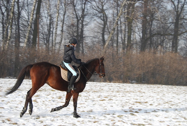 galop na d-durze na jedej nodze 