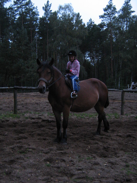 Betina
