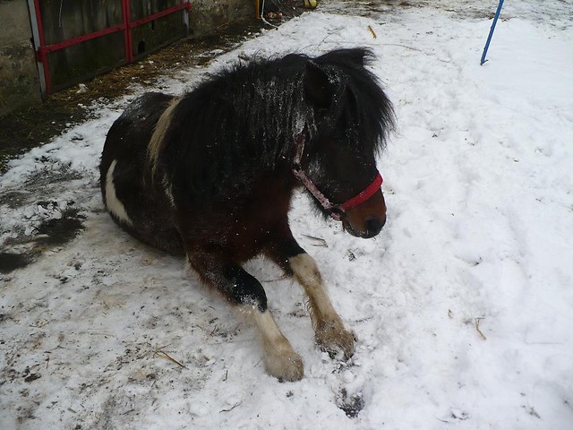 Cez Are Kane ^^