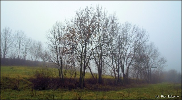 Poranek.