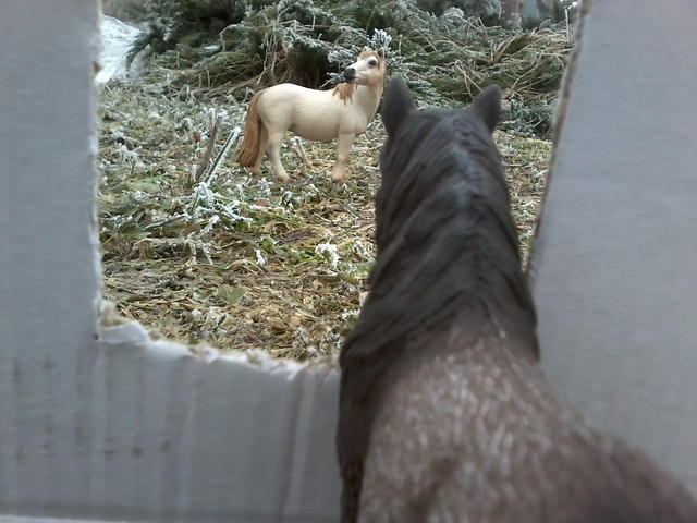 Zdjcie Schleich