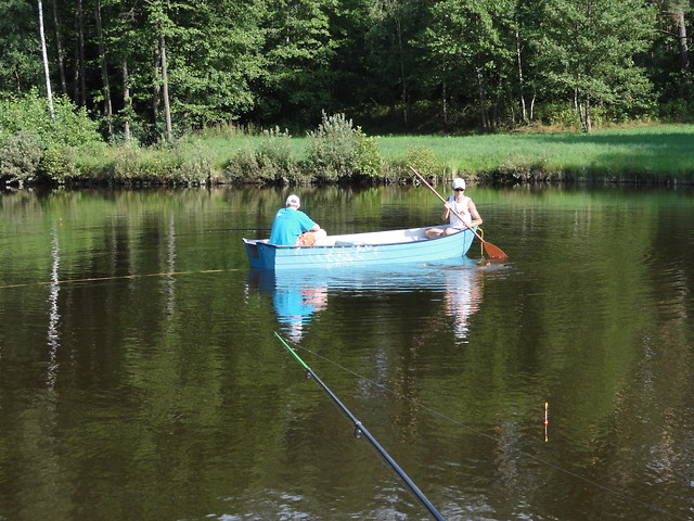 Wpis pawelekroll