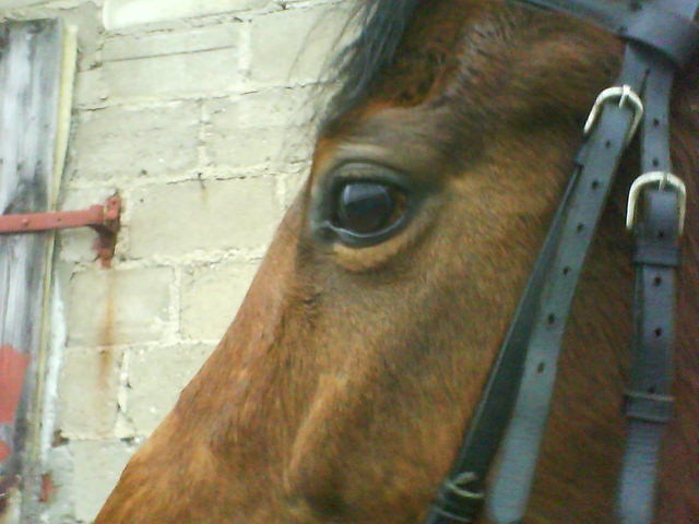  licznotka ;*