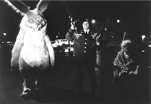 i like a rabbit
