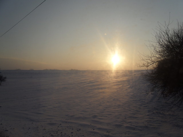 Zima