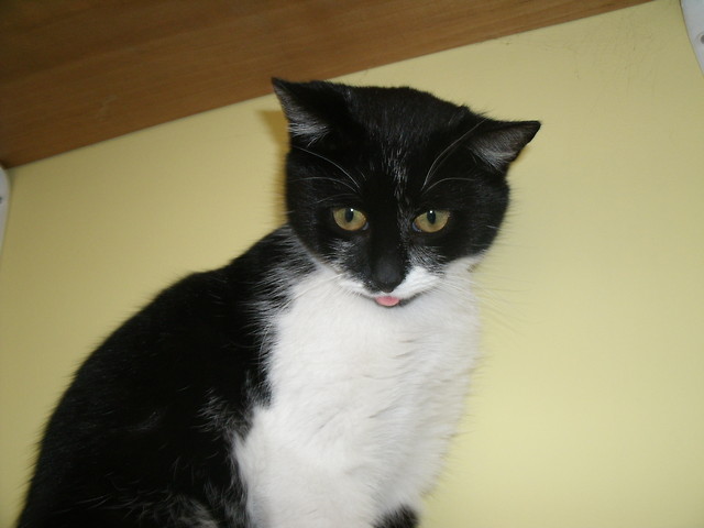 Lady :D