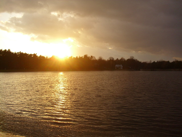 Oanna-zalew