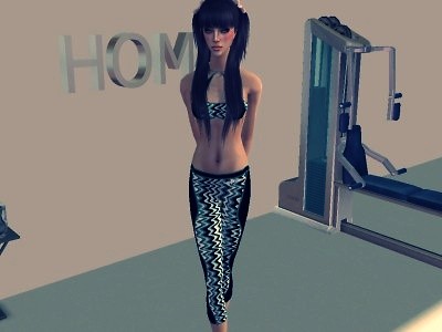 Wpis simmodel