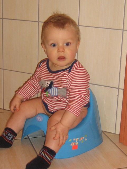 witek may i nocnik