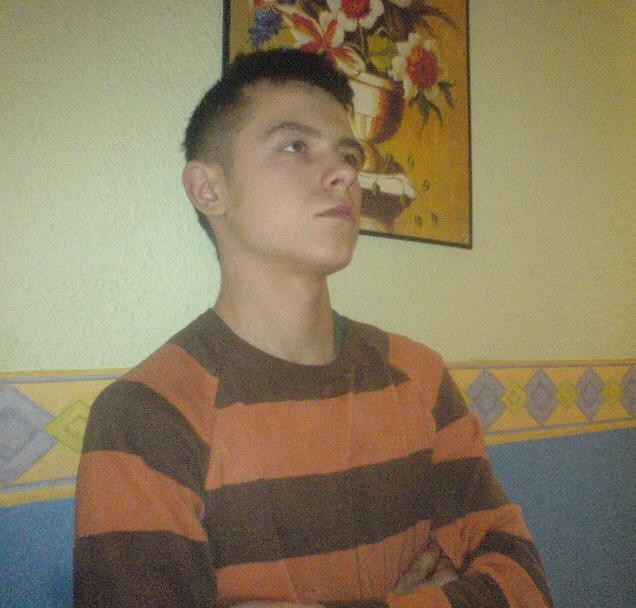 zwaa xdd